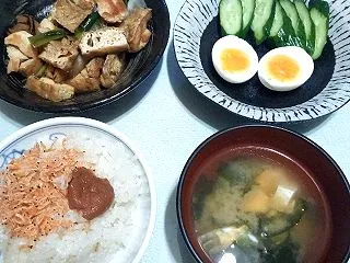 体重維持を目指すYUKIの食生活【今日の…