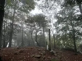 雨の日の遊び場所がない件と広告がウザい件