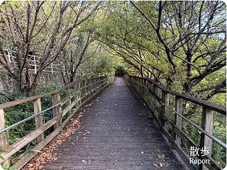 秋の週末裏山散歩5