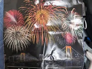 やっちゃった 東京湾大華火祭 2026