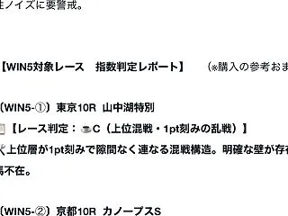 菊花賞 2026