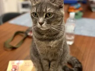 必ず乗る