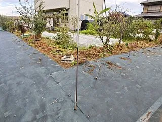 防草ネット+芝桜