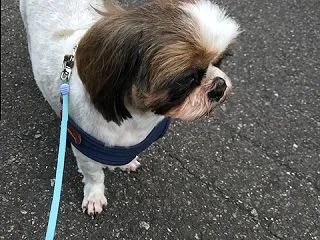 勉強会へ