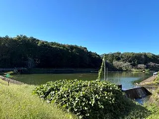 意外と広く釣り人も多い毛呂山町の箕輪田湖