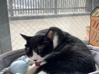 今日のふぅちゃん