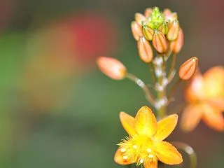 指導する天使の計画が狂う