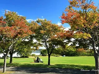 酒田市内でも紅葉が始まる