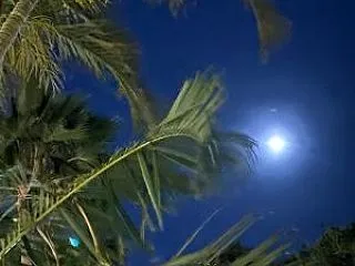 弾丸カイルアと１日遅れの十三夜。