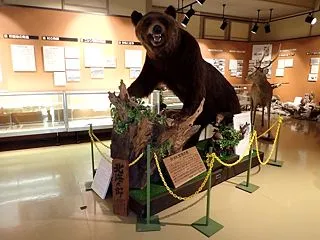 「北海道ツーリング2026」7日目