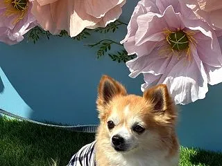 10月26日 ルー待っててね。