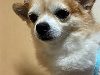 10月25日 入院生活 日記をはじめた