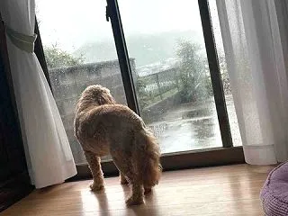 雨の日☔