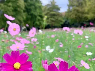 SNSでしんどくなりませんか？＾＾