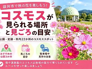 【袋井市】コスモス畑はどこ？駐車場がある…