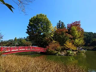 【臥竜公園・臥竜山】長野県須坂市 202…
