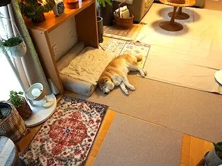 忘れてた…