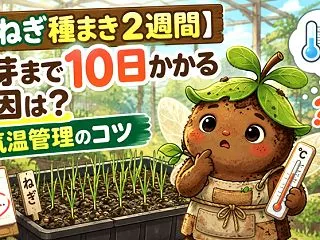 【ねぎ種まき2週間】発芽まで10日かかる…