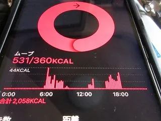 夕ウォーキングは多分休止だから。