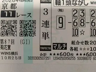 菊花賞(^ ^)