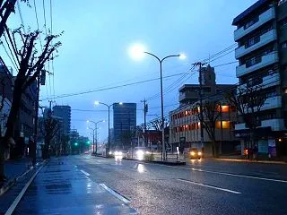 降り出しましたね～