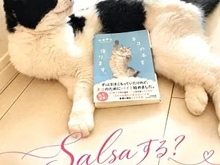 Mother’s Story②「ねこの手…