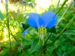 リカバリーウエアって、どうなの？