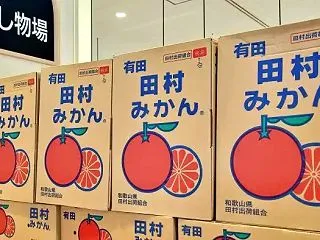 田村みかんのおすすめ直売所！幻の味を現地…
