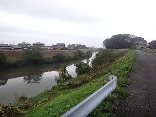 雨の合間の晩秋ポタ