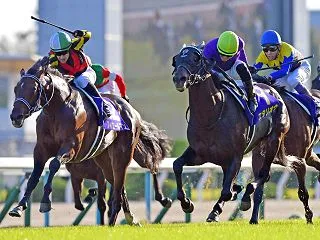 【菊花賞2026予想】結論～三冠達成なる…