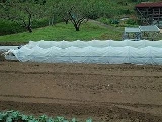 欲深ばあさん