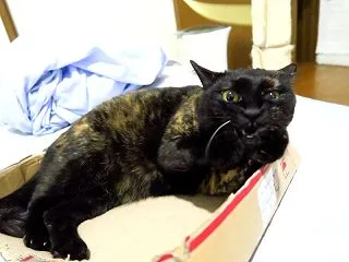 まだ続いてるよ(*゜▽゜*)