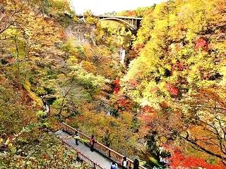 【婚活デート】紅葉デートで「この人とまた…