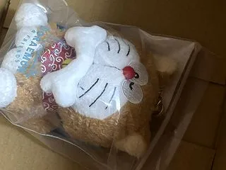 犬アレルギーが犬まみれ生活