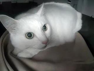 ちょっと余裕な日々