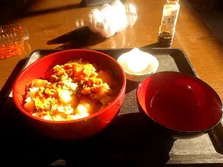 色んな旅行者が来るんだね