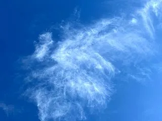 本物の神の道へ