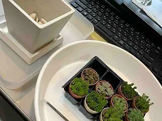 秋の気配。
