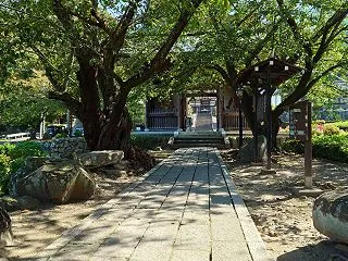【梅洞山岩松院】八方睨みの鳳凰 信州小布…