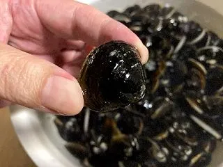 特大しじみ