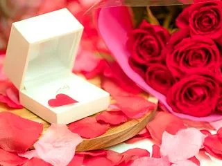 活動半年で「プロポーズ」をお受けしご成婚…