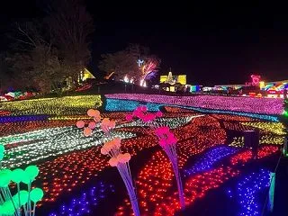 東京ドイツ村のイルミネーションが10月3…