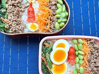 お急ぎ弁当はいつもそぼろ