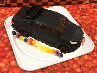 力強さがかっこいい ハイラックス立体ケー…