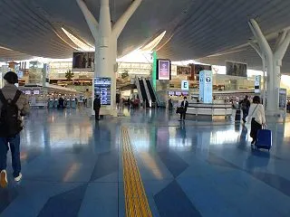 せわしない帰国