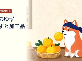 高知のゆずは10月中旬から収穫が本格化。…