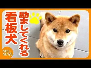励ましと癒しの両立