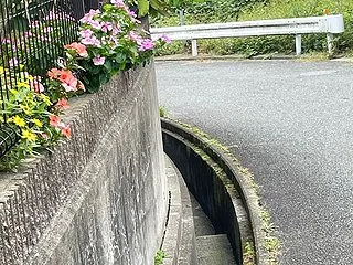 暮らしを愛したい。マスネ聴いて フランス…
