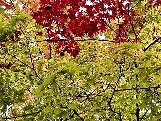 今後少しずつnoteに移行していこうと思…