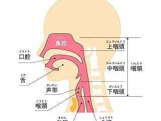 ホカイドゥの方言を我流検証秘話。